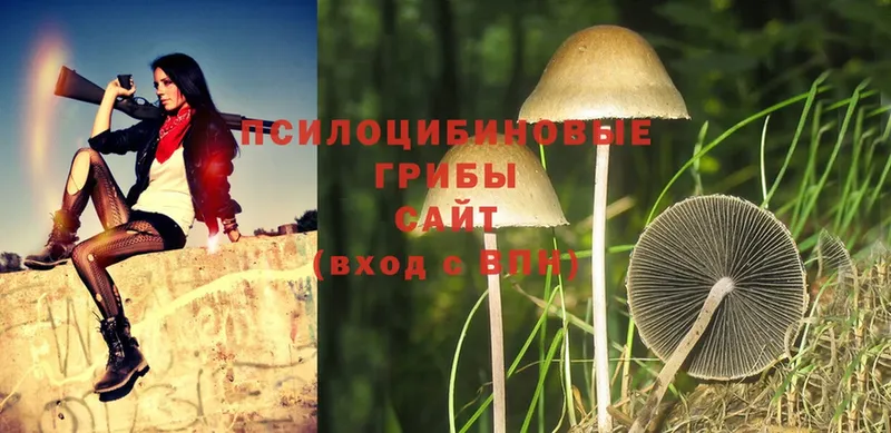 ссылка на мегу рабочий сайт  Шлиссельбург  Галлюциногенные грибы MAGIC MUSHROOMS 